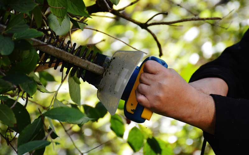 How to Choose the Right Local Business for What You Need